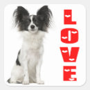 Suche nach papillon aufkleber Welpe