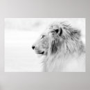 Suche nach profil poster Löwe