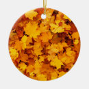 Suche nach herbst ornamente Natur
