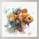 Suche nach clownfische poster Ozeane