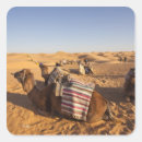 Recherche de sahara autocollants Africain