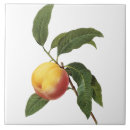 Suche nach redoute fliesen Vintag