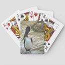 Recherche de pélicans jeux de cartes Oiseaux