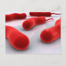 Recherche de bactérie cartes postales Cellule