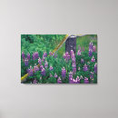 Suche nach alaska leinwandbilder Blume