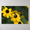 Suche nach oberteil poster Blume