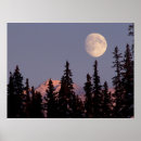 Suche nach alaska poster Ankerplatz