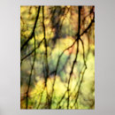 Suche nach abstrakter baum poster Bäume