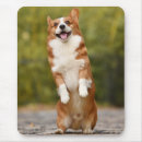 Suche nach glücklicher welpe mousepads Corgi