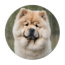 Recherche de animaux domestiques planches à découper Chien