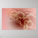 Recherche de latex posters Illustration