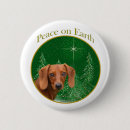 Recherche de teckel badges Amoureux des chiens