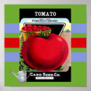 Recherche de tomatoe art Cooking