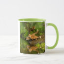 Recherche de wildlife tasses Renard