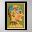 Suche nach vintage phrenologie poster Anatomie