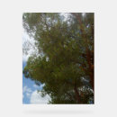 Recherche de symbole photographie Anniversaire