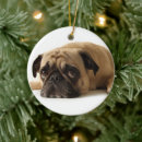 Recherche de triste ornements Animal