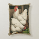 Recherche de poules coussins Poulet