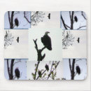 Recherche de aigles tapis souris Oiseau