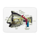 Recherche de neurologue magnets Pour tous