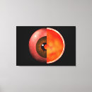 Suche nach menschliches auge poster Ciliary prozesse
