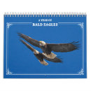 Suche nach adler kalender Natur
