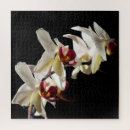 Suche nach orchideen puzzle Botanisch