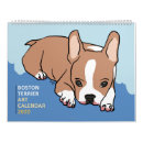 Recherche de boston terrier calendriers Chiot
