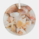 Recherche de coquillage ornements Sable