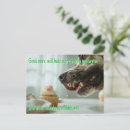 Recherche de danoise cartes postales Chien