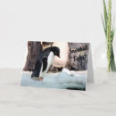 Recherche de adelie vœux cartes Pingouin