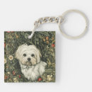Recherche de coton tulear accessoires Mignon