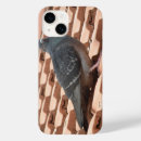 Recherche de pigeons iphone coques Mignon