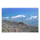 Recherche de diamondhead Waikiki