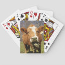 Recherche de vaches jeux de cartes Pour tous