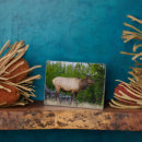 Suche nach elche fotoplatten Michael defreitas