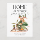 Recherche de plante cartes postales Plante en pot