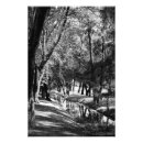 Suche nach grayscale poster Natur