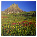 Suche nach pass fliesen Glacier nationalpark
