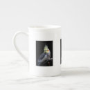 Recherche de perruche tasses Animaux de compagnie