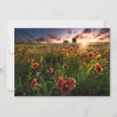 Recherche de indien vœux cartes Paysage