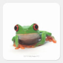 Suche nach kaltblütig aufkleber Amphibie
