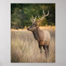 Suche nach washington state poster Superstock