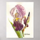 Suche nach iris poster Aquarell