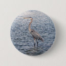 Suche nach herde buttons Vogelvogel