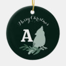 Suche nach roter kardinal ornamente Botanisch