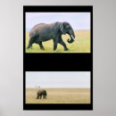 Recherche de kenya posters Éléphant