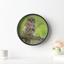 Recherche de galler horloges Oiseau