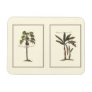 Recherche de encadrement maison magnets Encadré