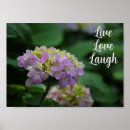 Suche nach rosa hydrangea poster Blumenreich